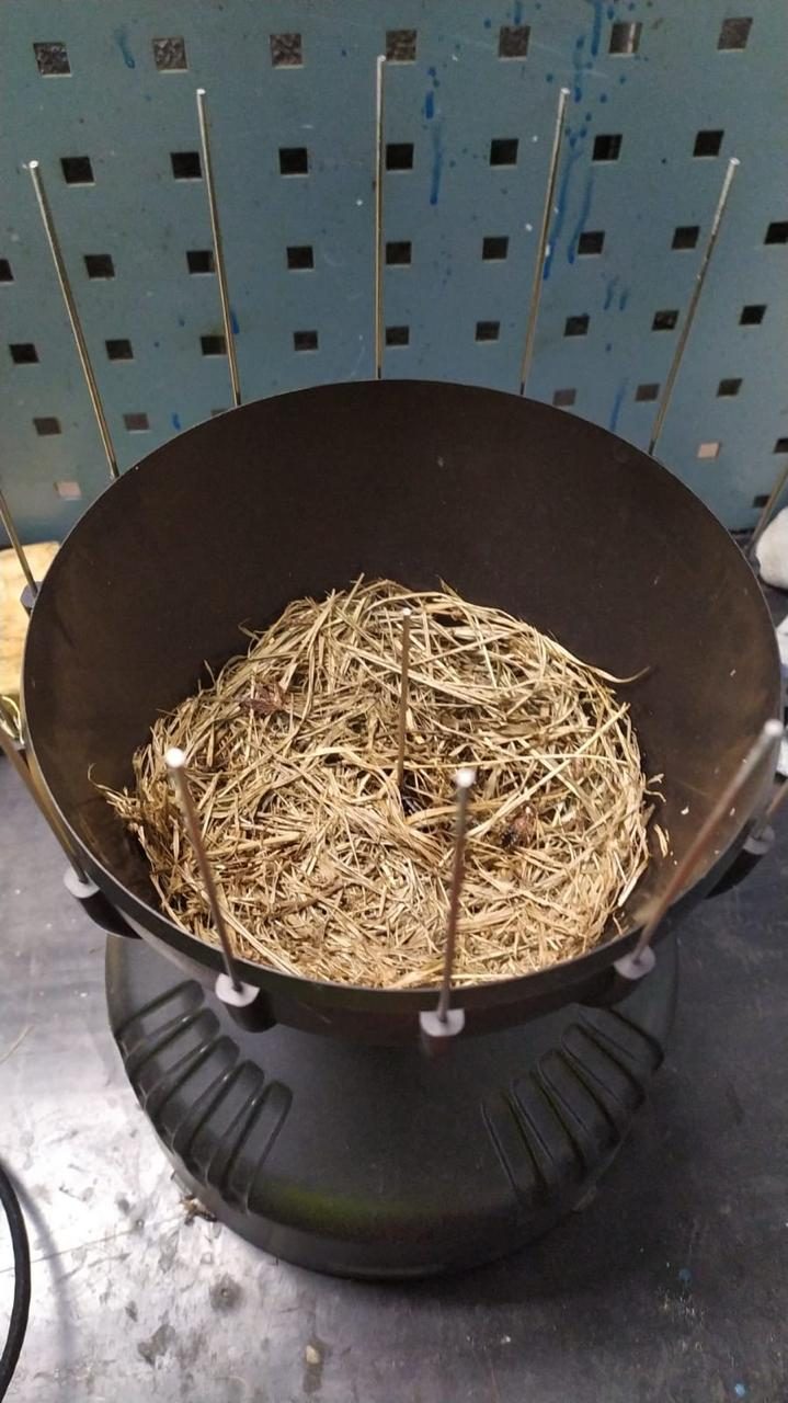 Nido de pájaro dentro del pluviómetro de una estación meteorológica Davis